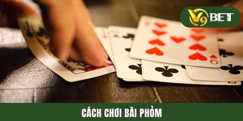 Cách Chơi Bài Phỏm Chi Tiết & 3 Bí Kíp Hữu Hiệu Từ Cao Thủ 9 Cách Chơi Bài Phỏm Chi Tiết & 3 Bí Kíp Hữu Hiệu Từ Cao Thủ